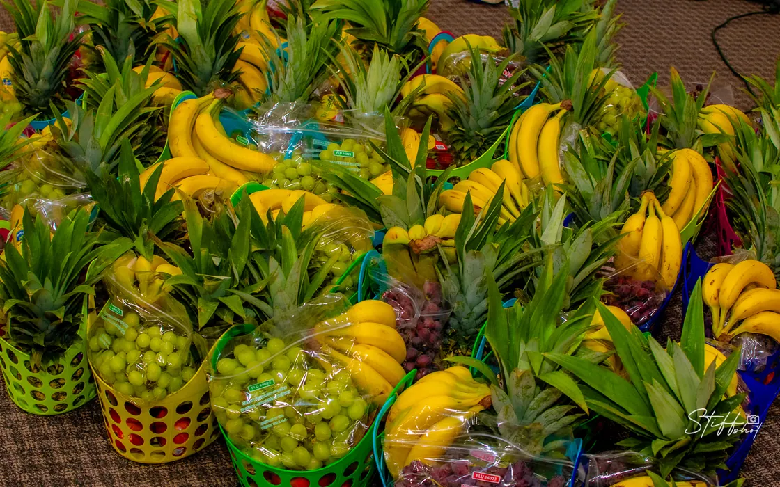 Harvest of Fruitfulness 2026 broadcast thumbnail